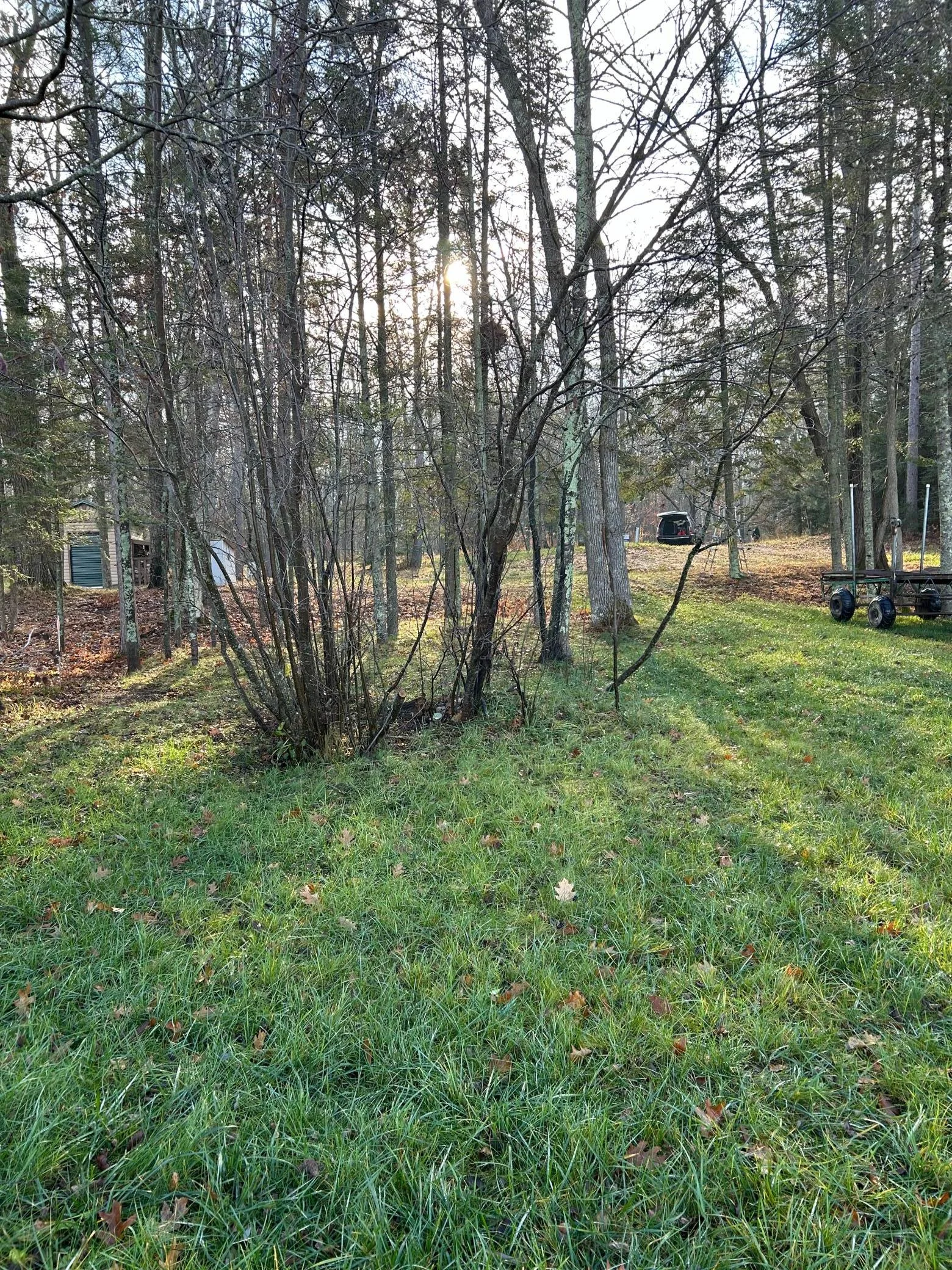 Middle of lot