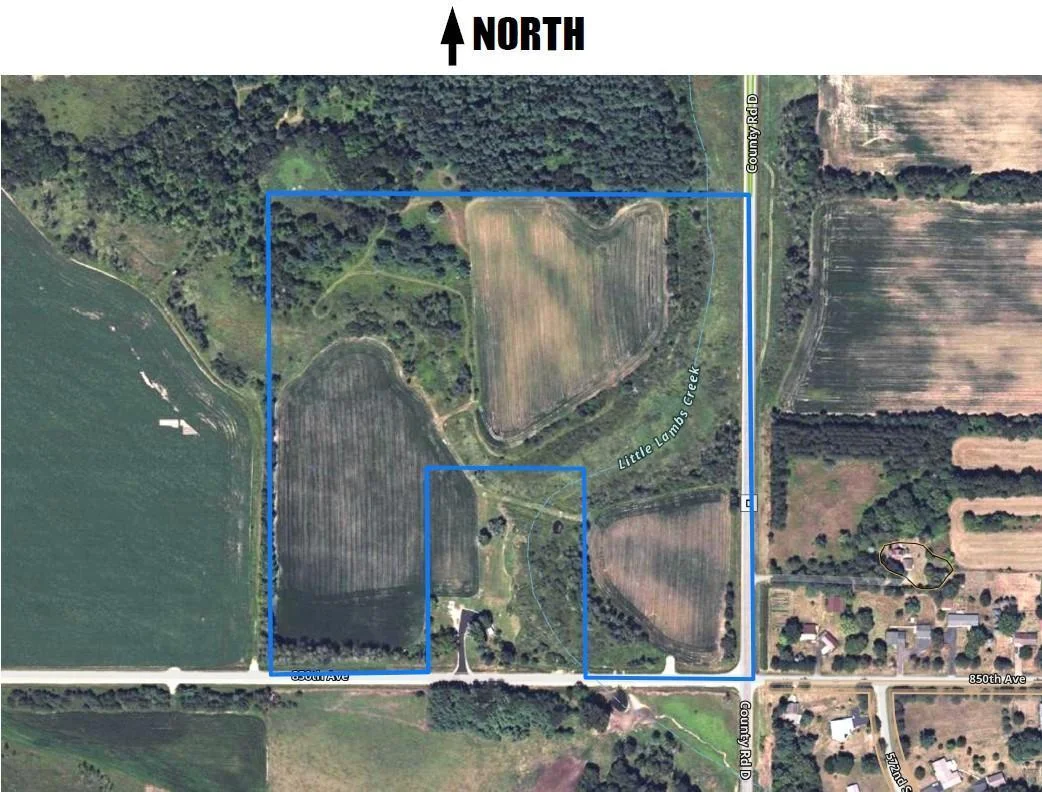 Aerial.jpg
