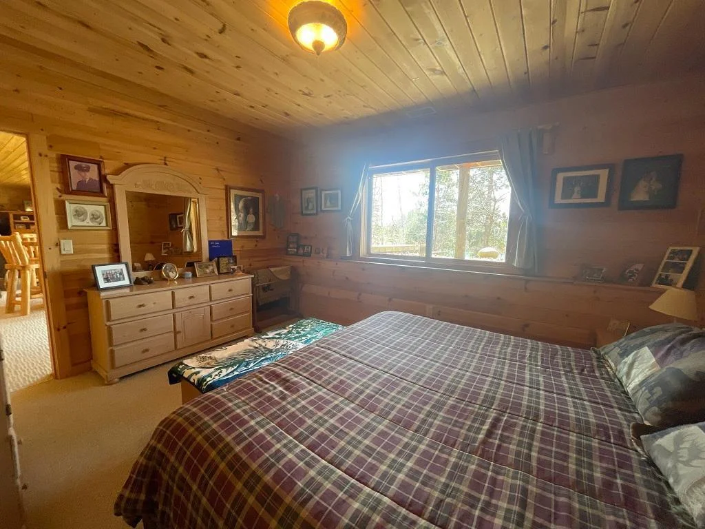 Lower level bedroom.