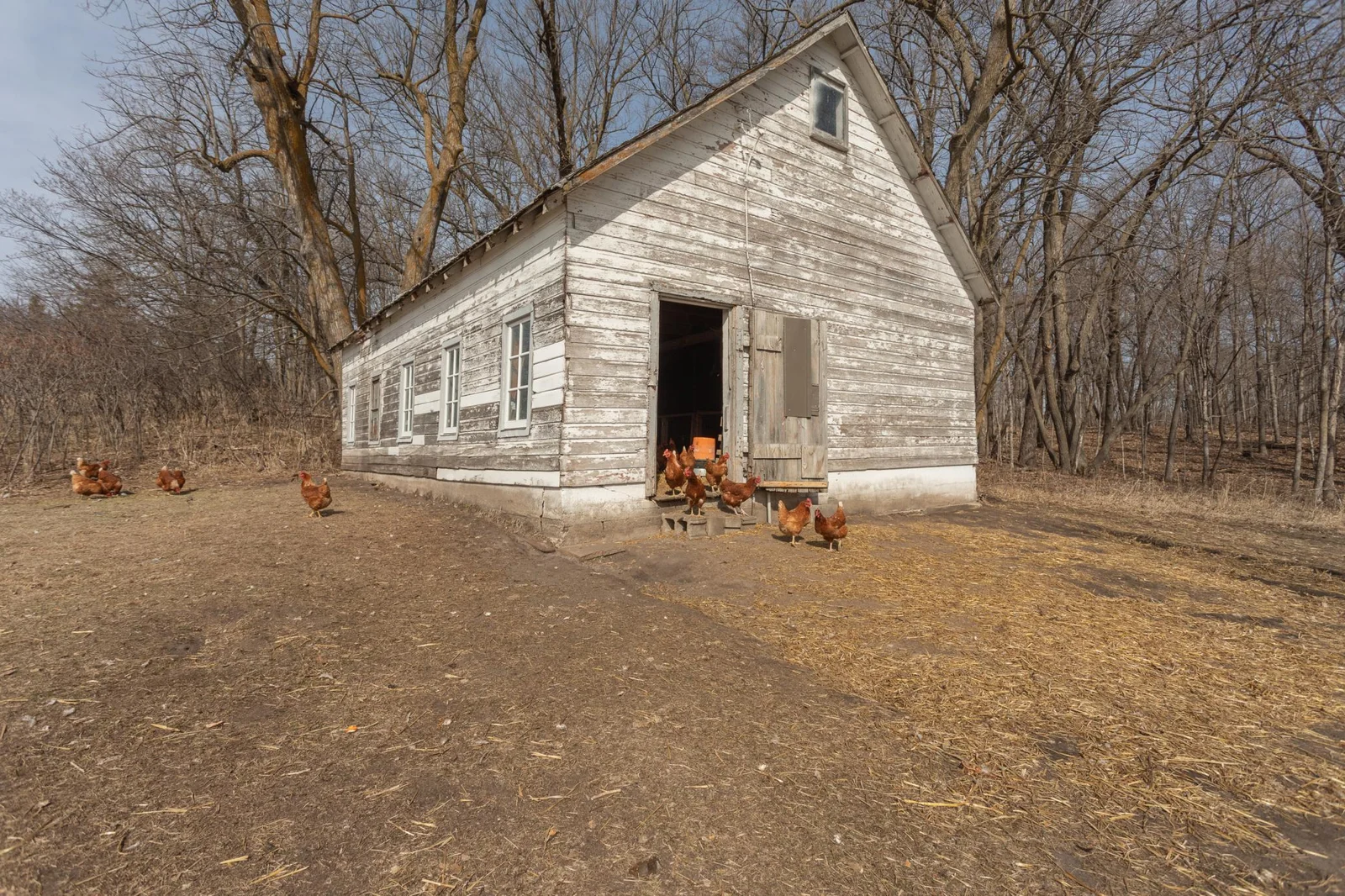 Livestock and chicken coop