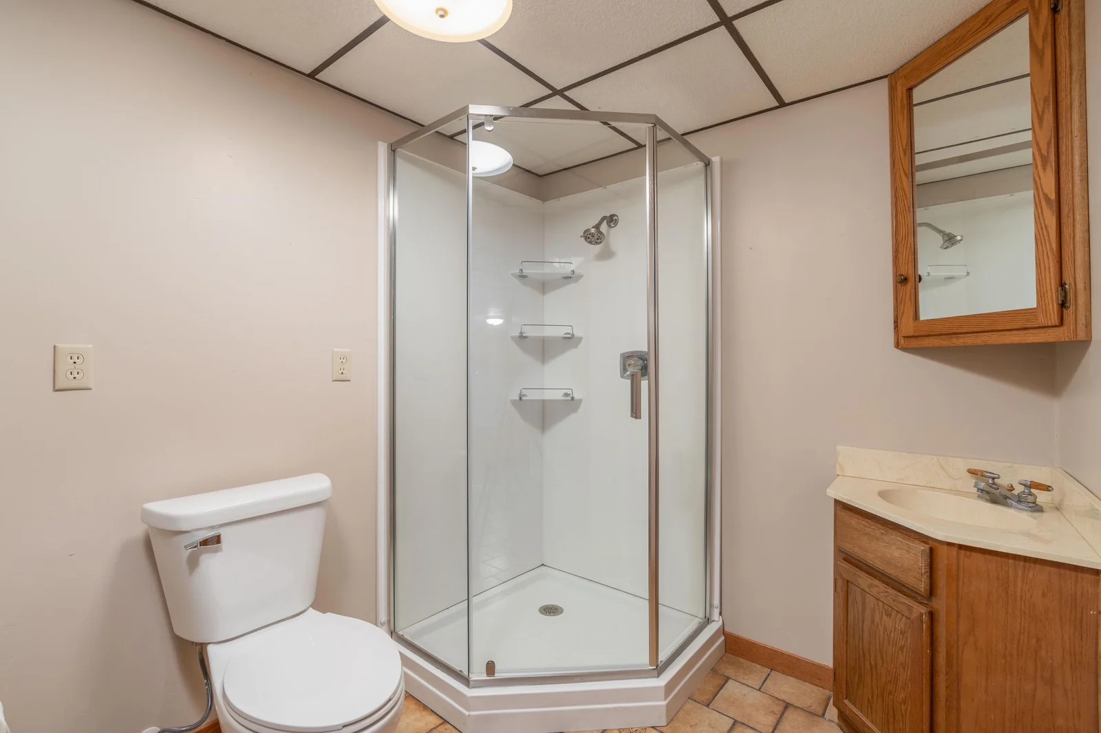 Lower Level Bathroom.jpg