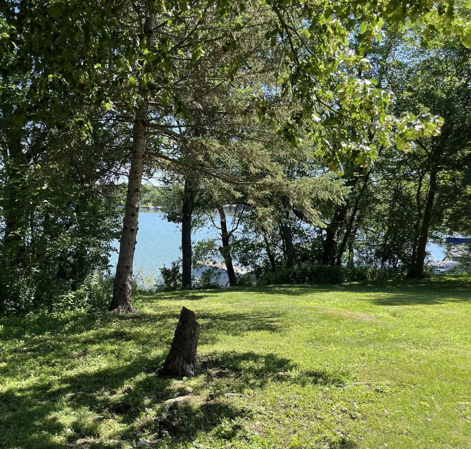 Lake Views cc.jpg