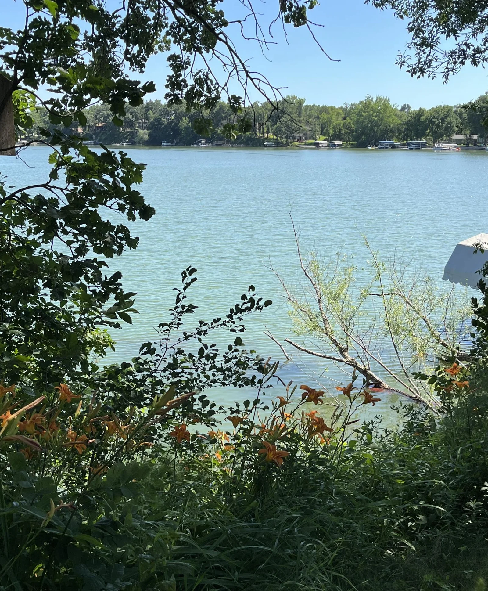 Lake Views ee.jpg