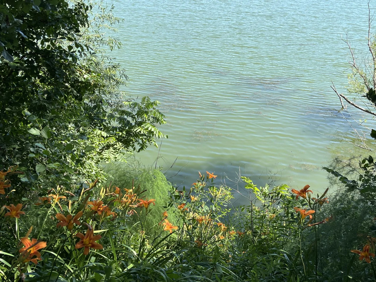 Lake Views hh.jpg