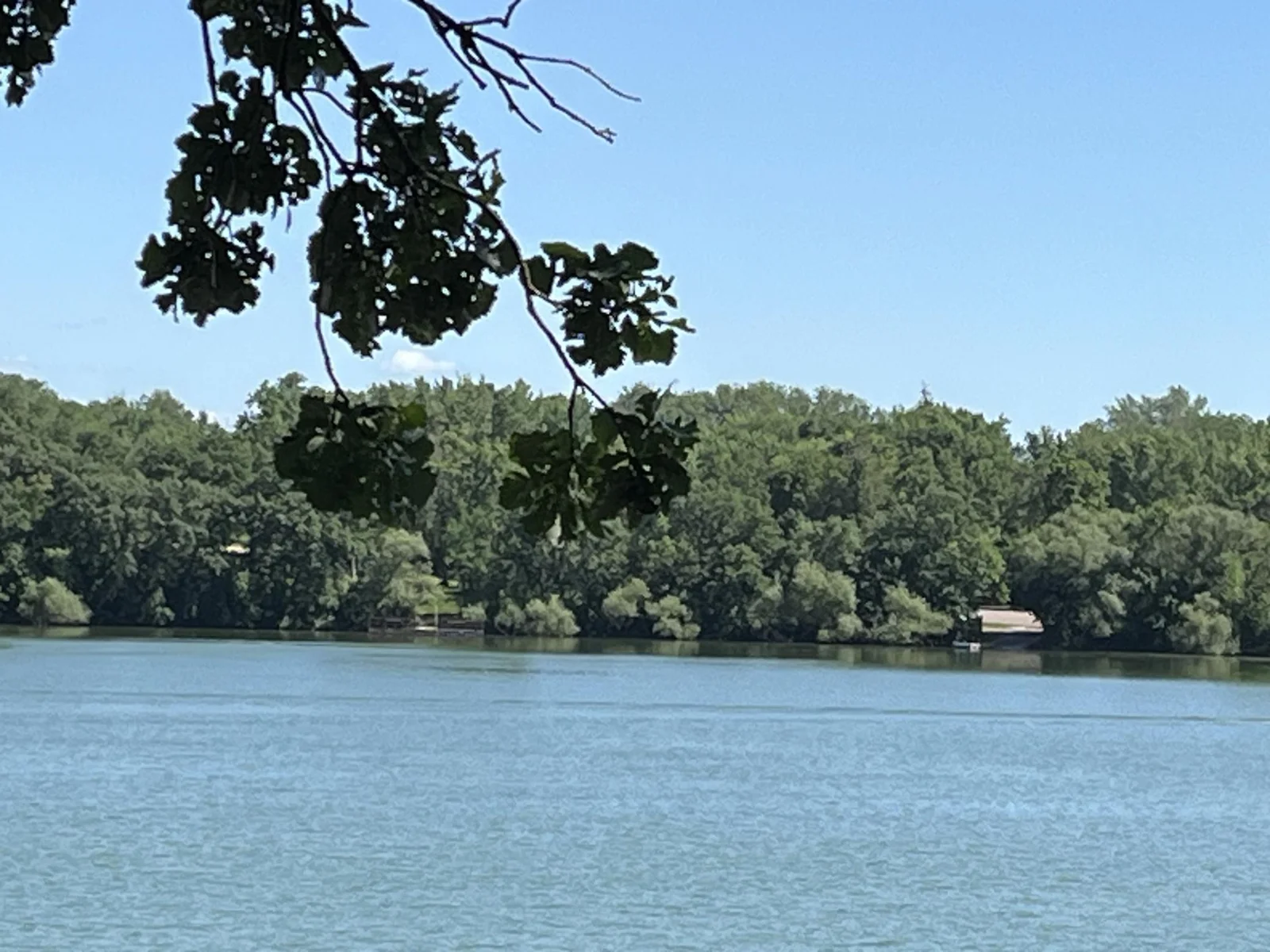 Lake Views oo.jpg