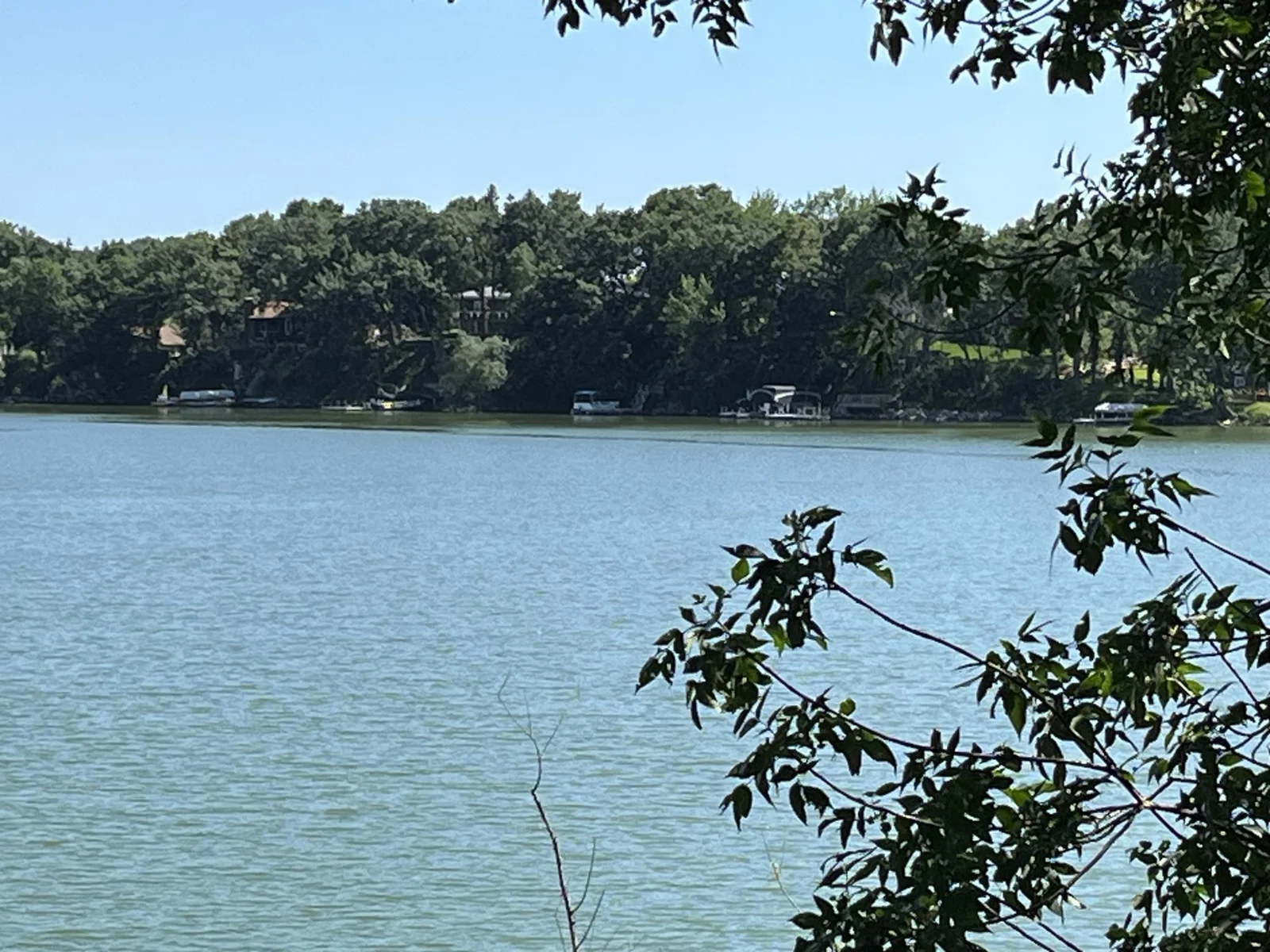 Lake Views ii.jpg