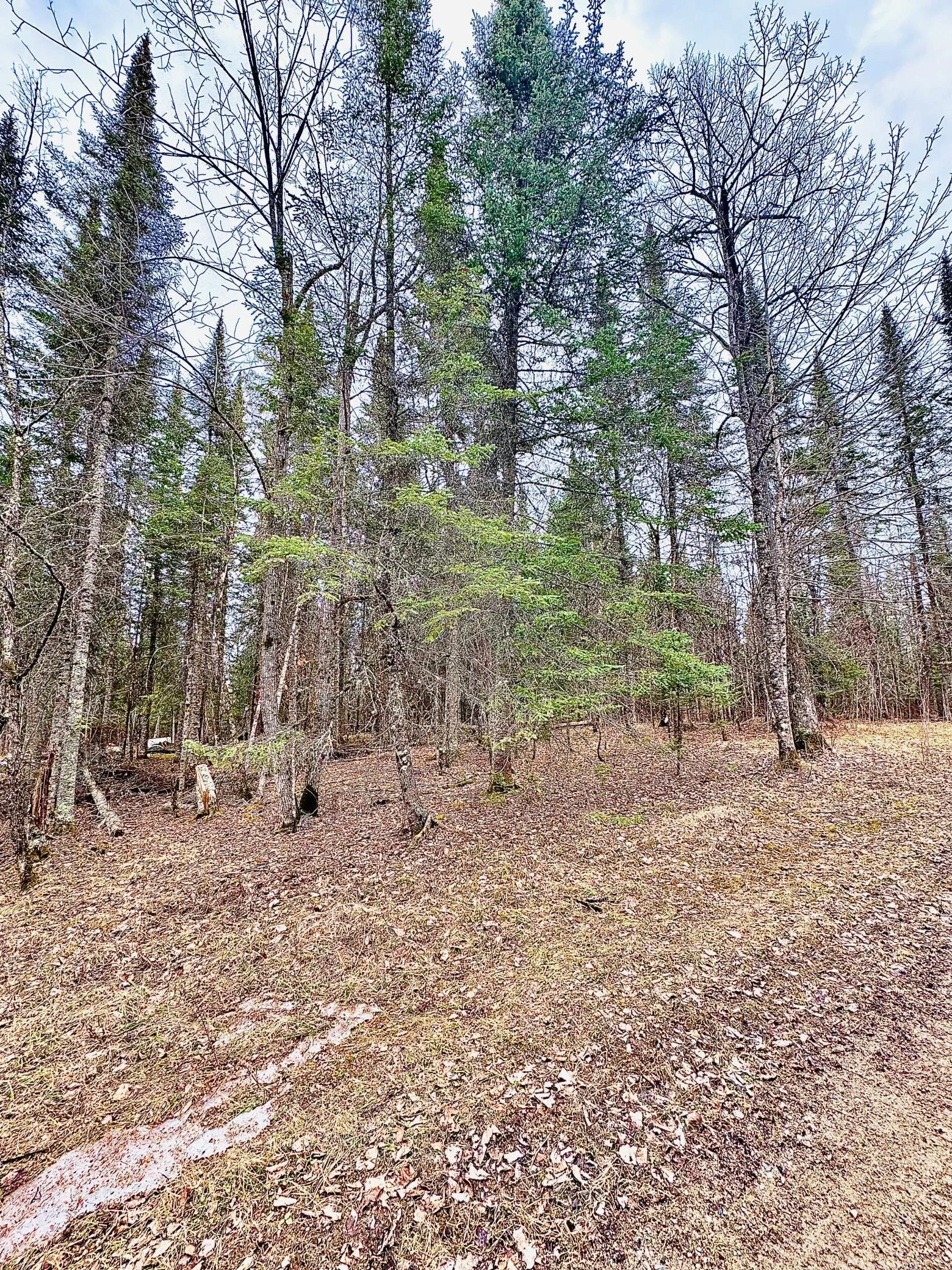 Thumbnail photo 40