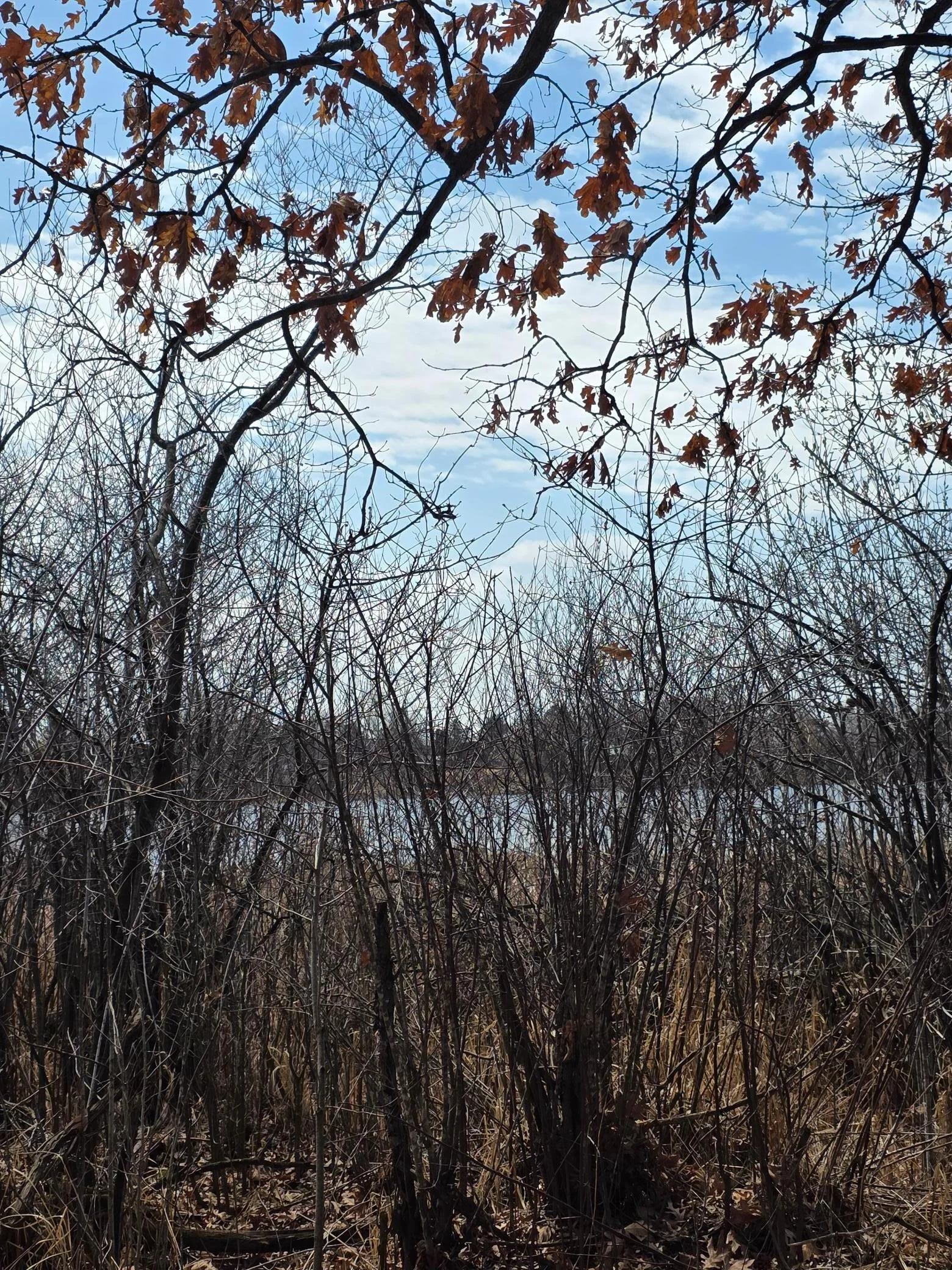 20250418_123050.jpg