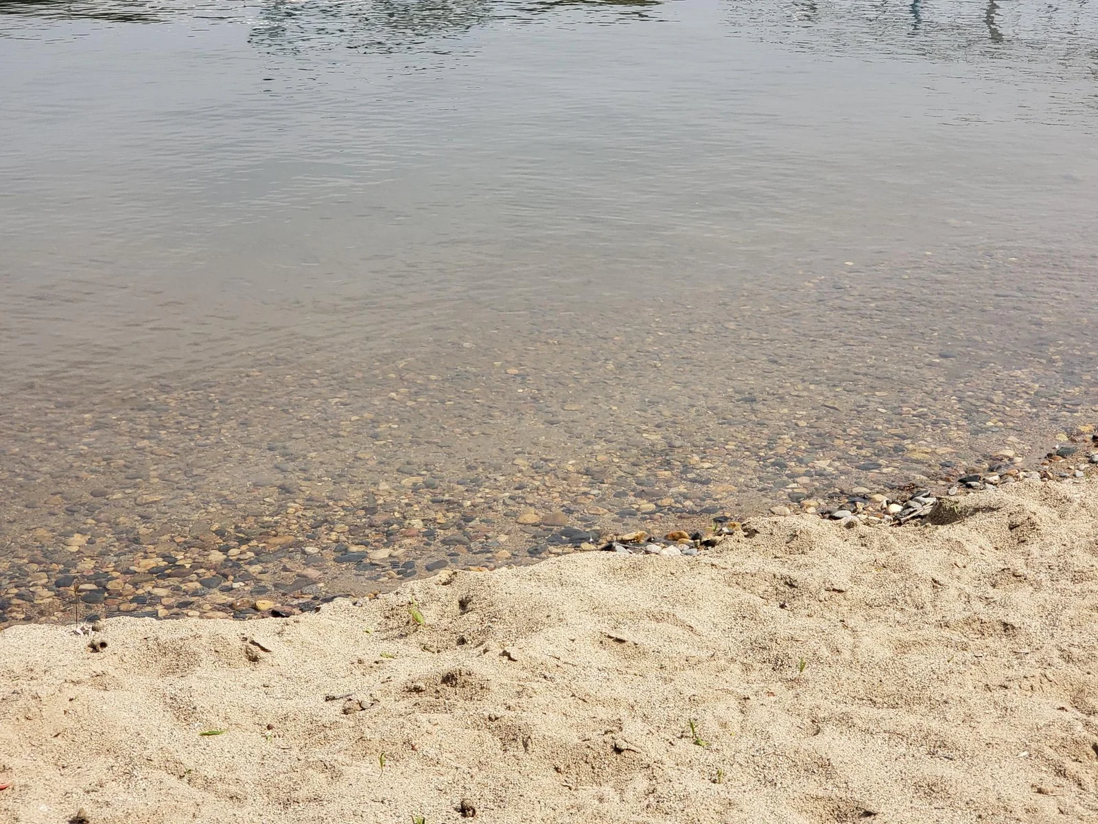 Sandy Swimming Area.jpg