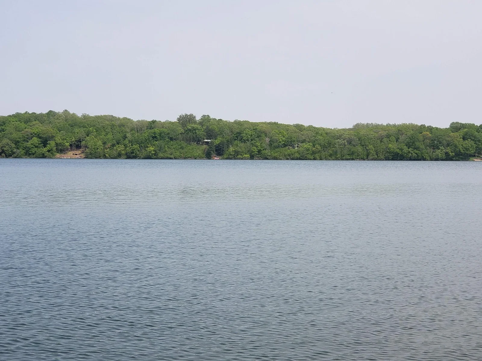 20190531_153550.jpg