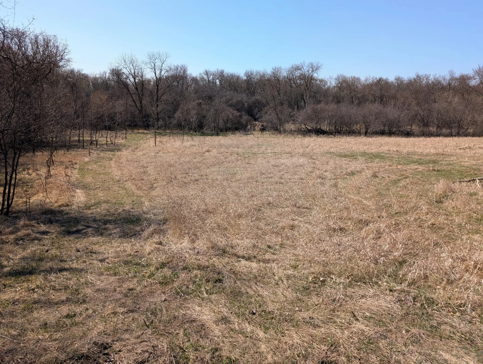 7.9 ACRES IN TOWN!