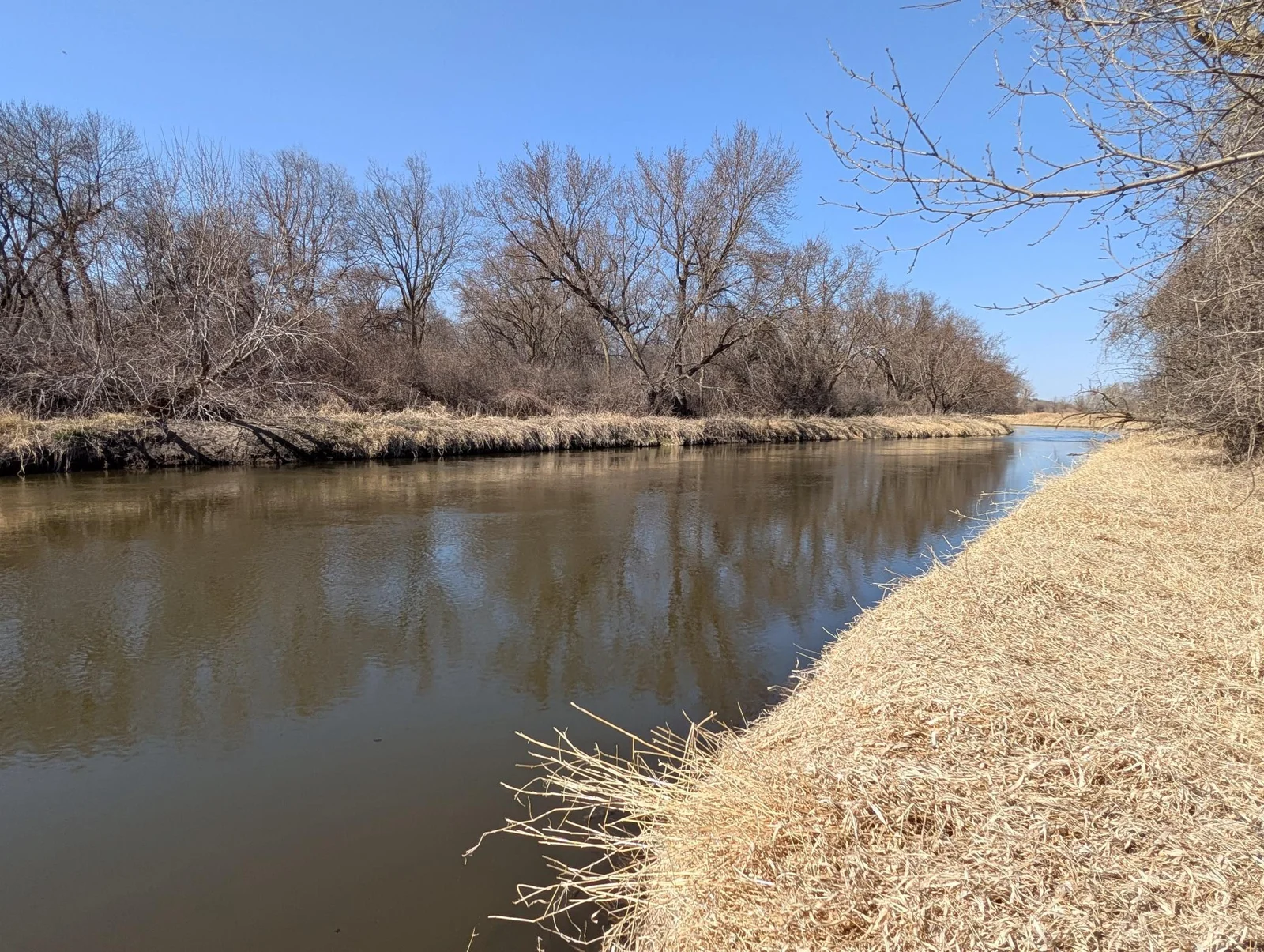 River shoreline included