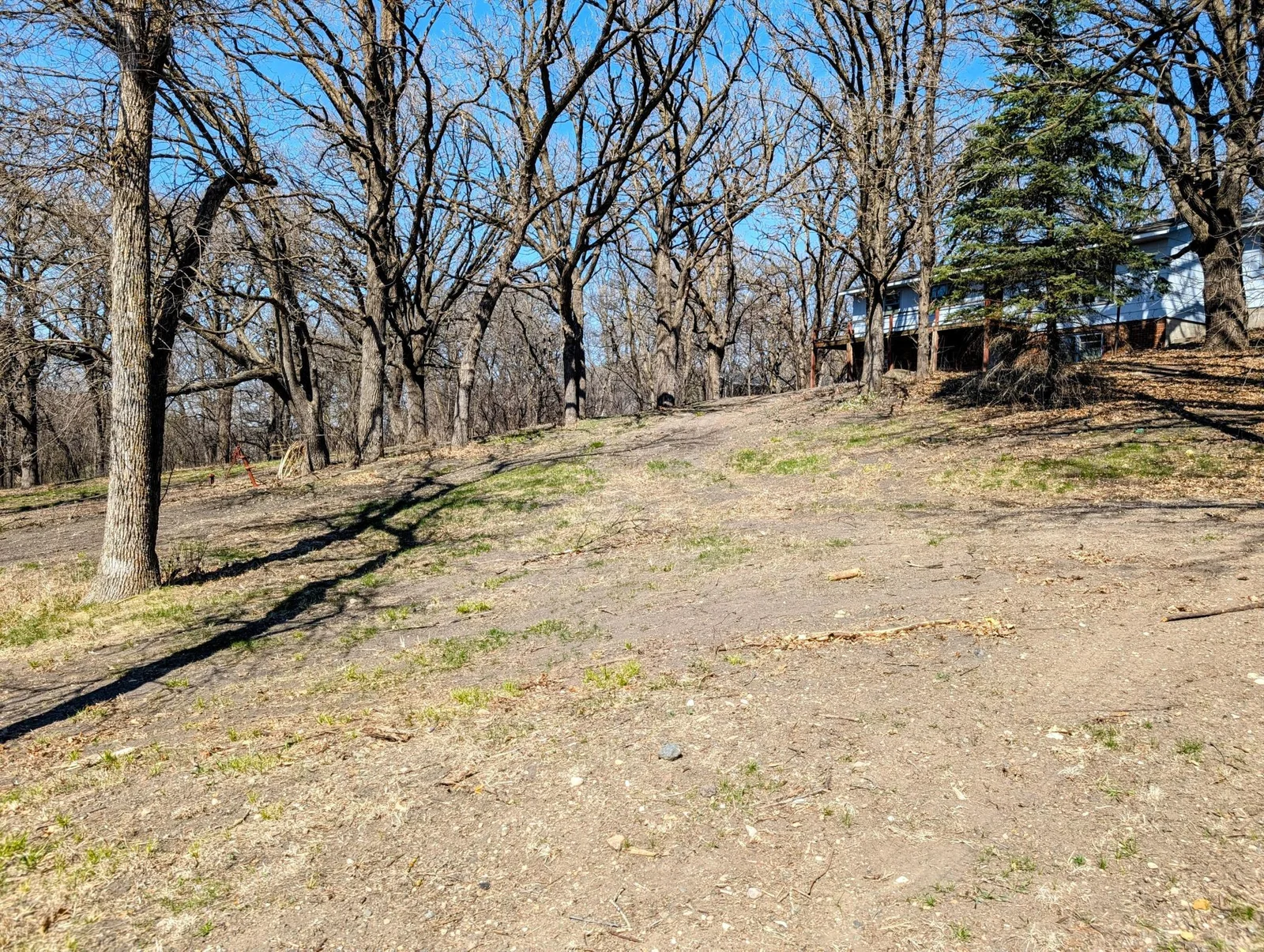 View to the back of the house