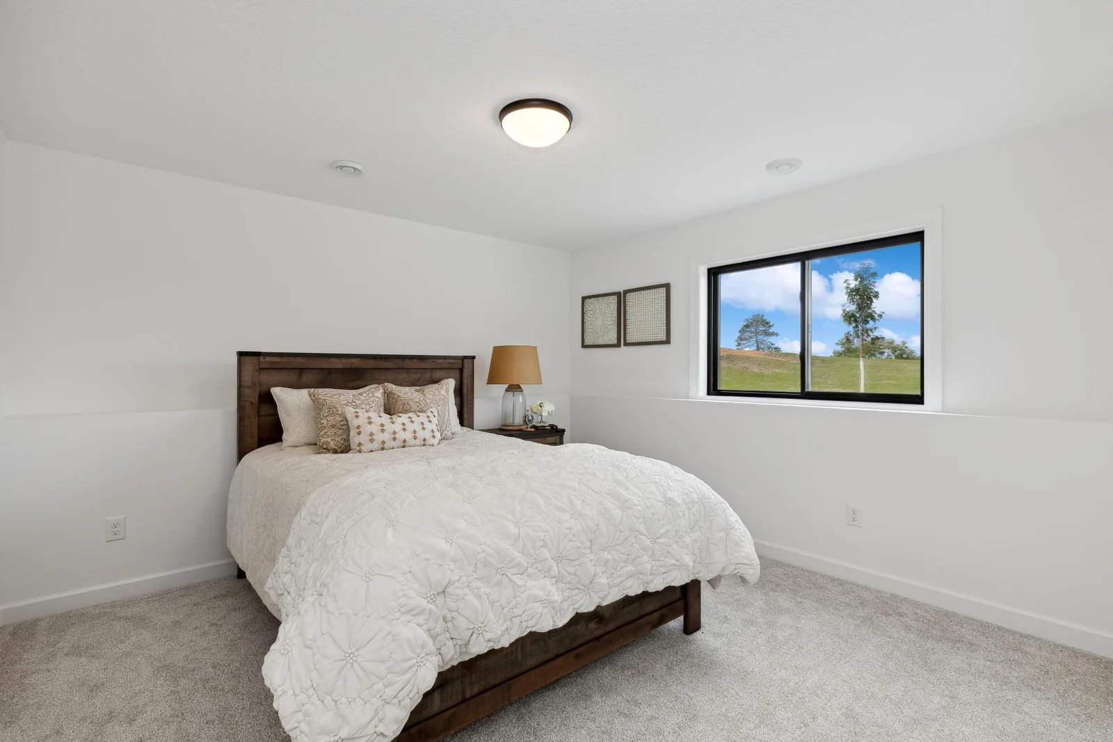 Lower level fourth bedroom