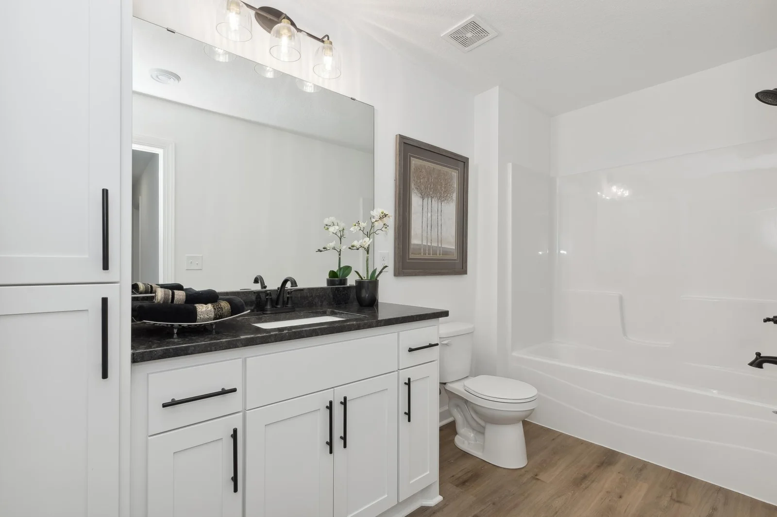 Lower level full bathroom