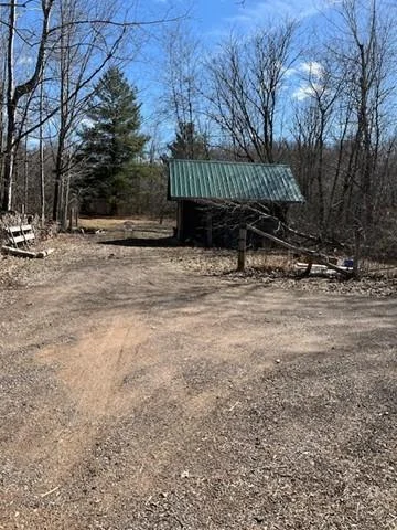 Picture3.jpg