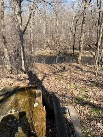 Picture4.jpg