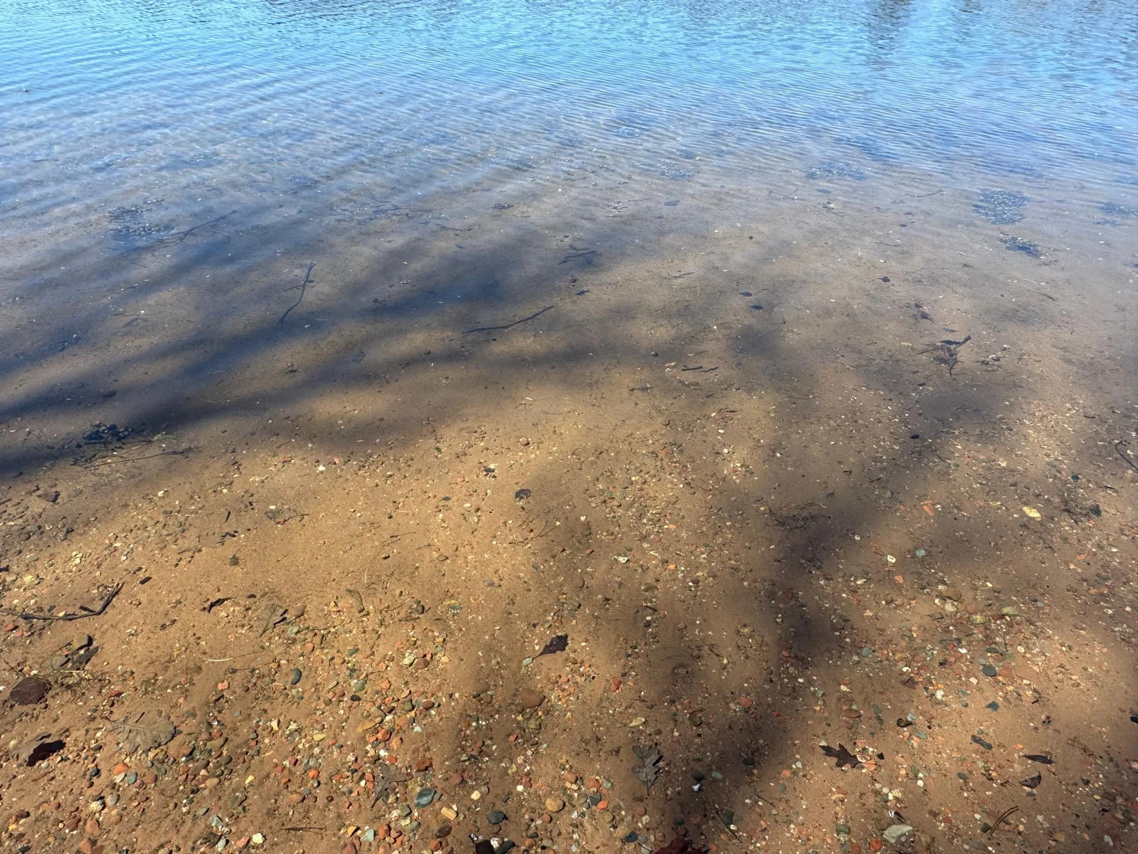 Thumbnail photo 45