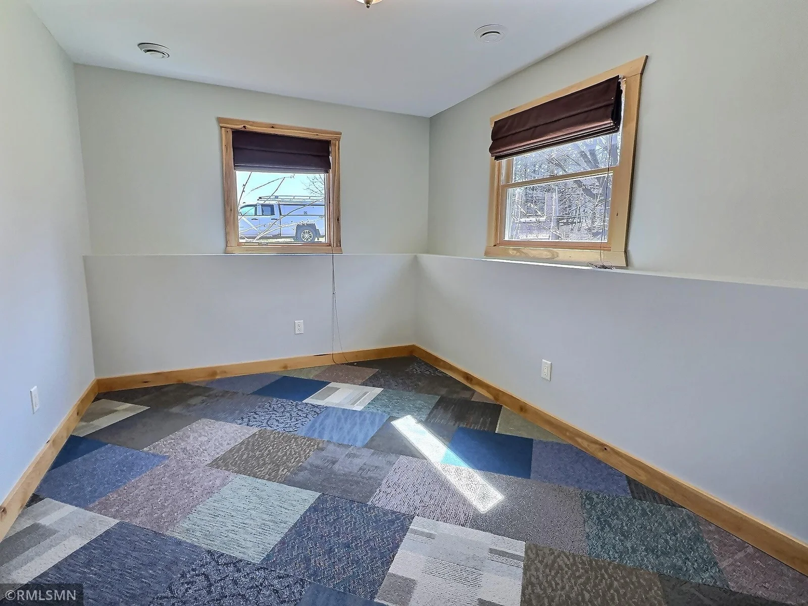 Second lower-level bedroom.