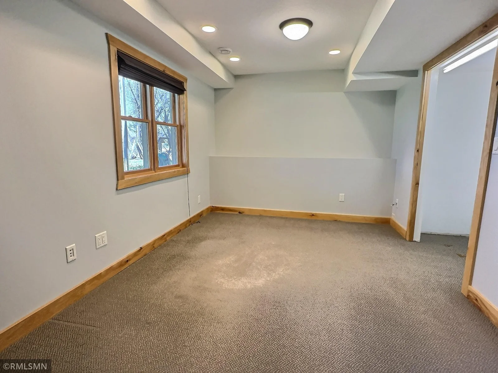 Lower-level bedroom/flex room/office, which ever fits your needs.