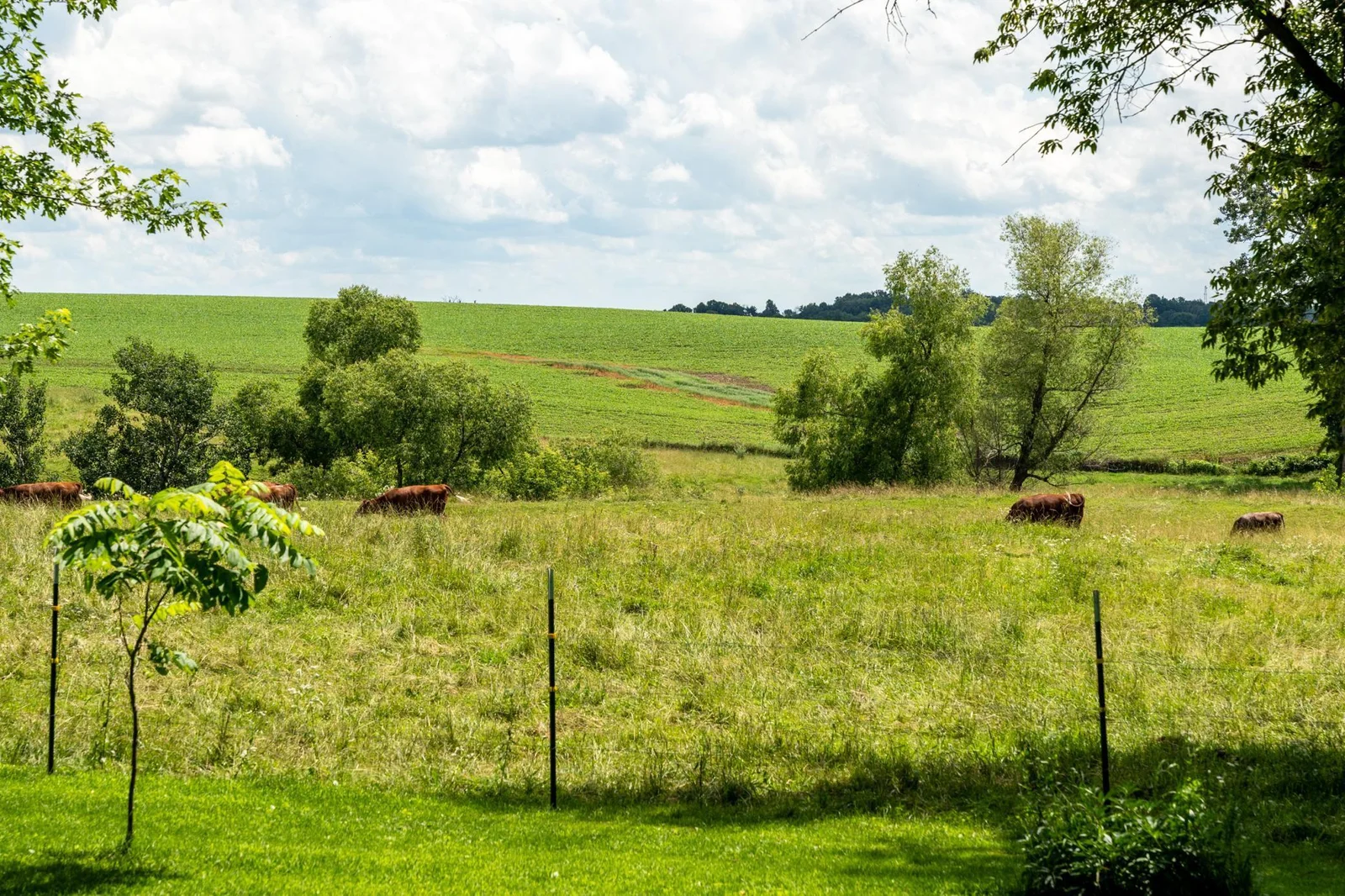 Located on a quiet dead-end road this property features a pond, creek, pasture, and mature woods.