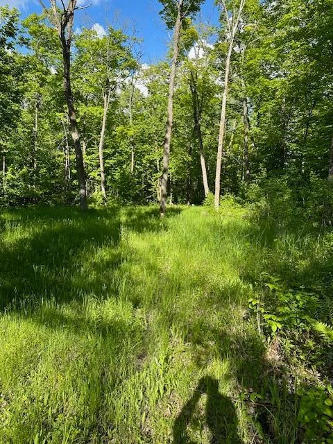 Some Open Area.jpg