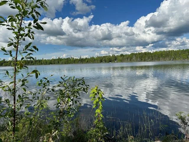 Bass Lake.jpg