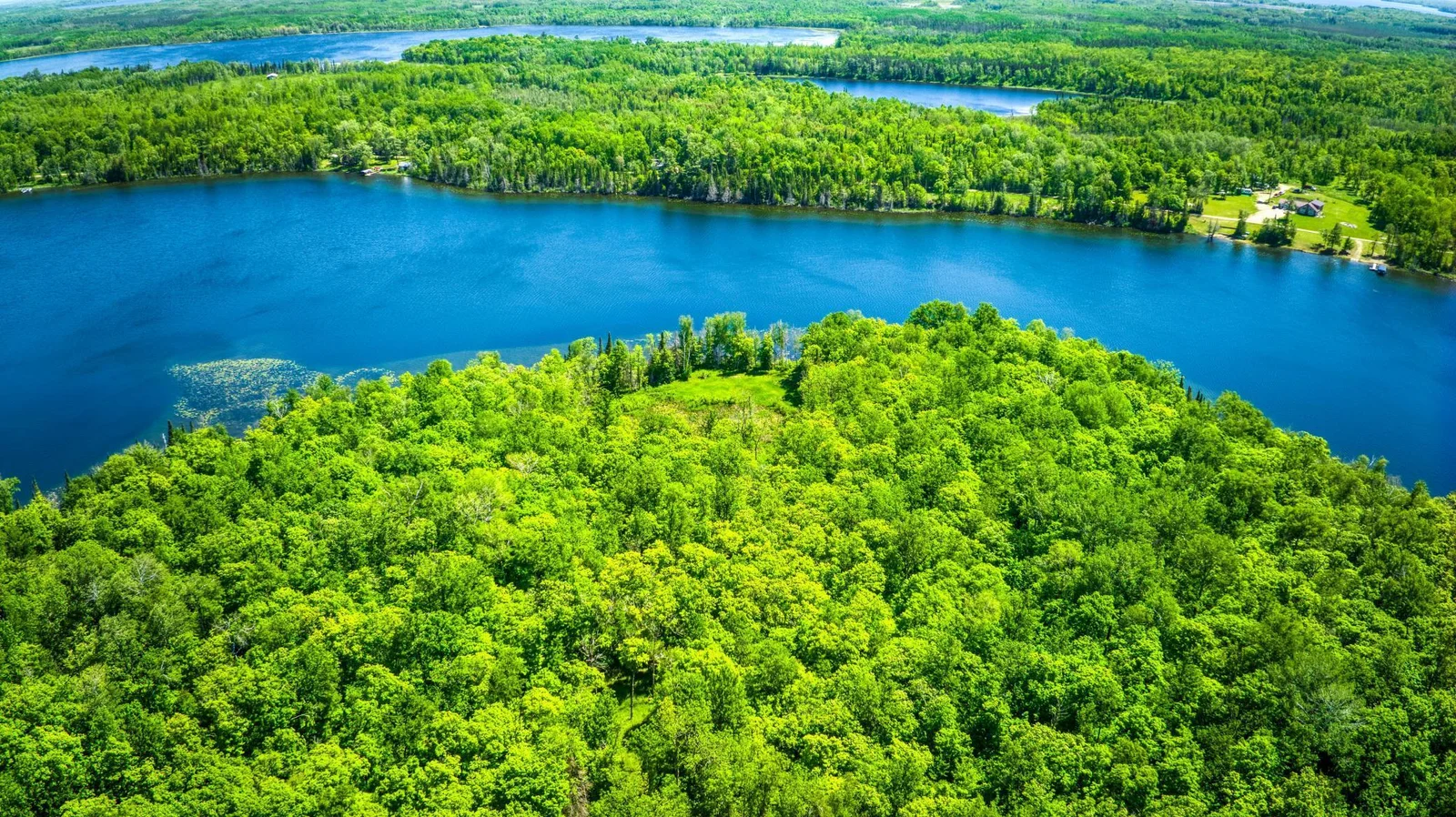 Bass Lake.jpg
