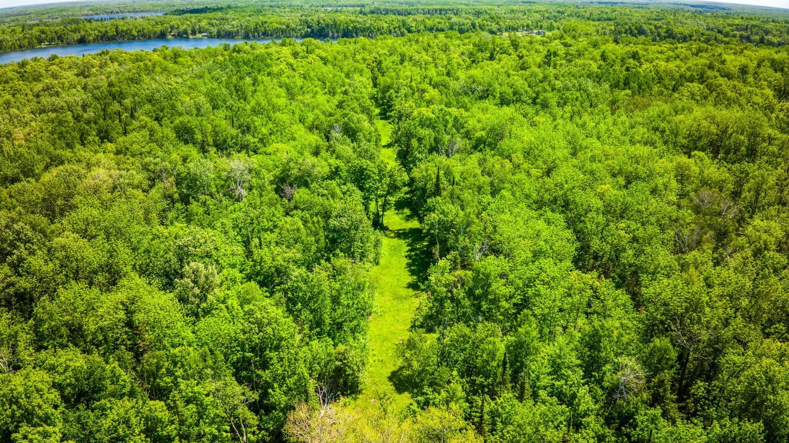 5 Acres.jpg