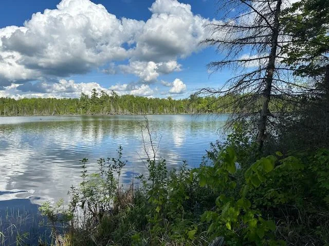 Bass Lake.jpg
