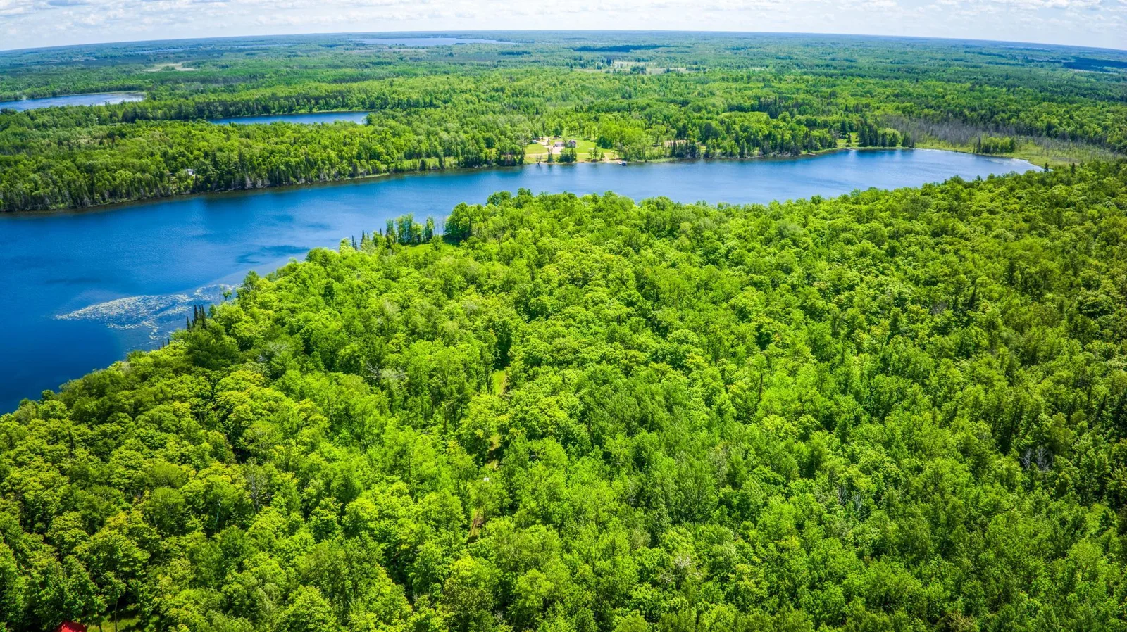 Bass Lake.jpg