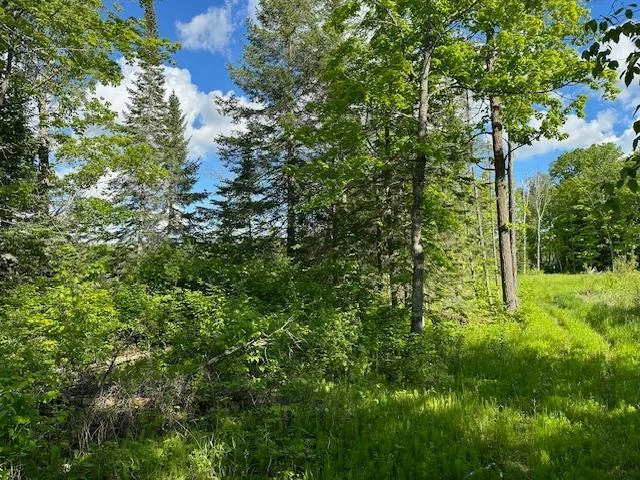 Solid Lake Frontage.jpg