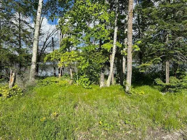 Solid Lake Frontage.jpg