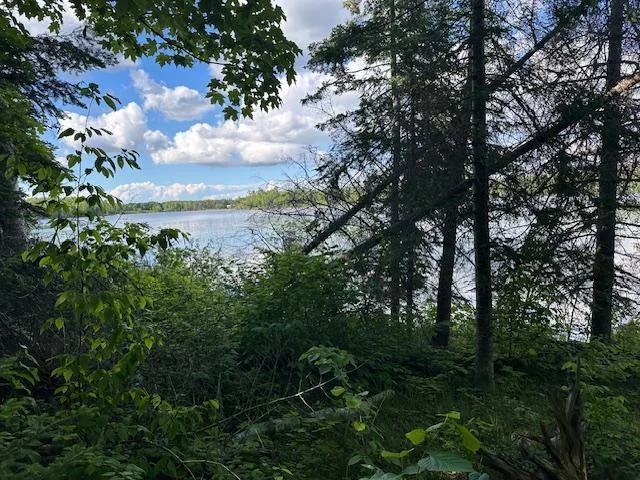 View of Lake.jpg