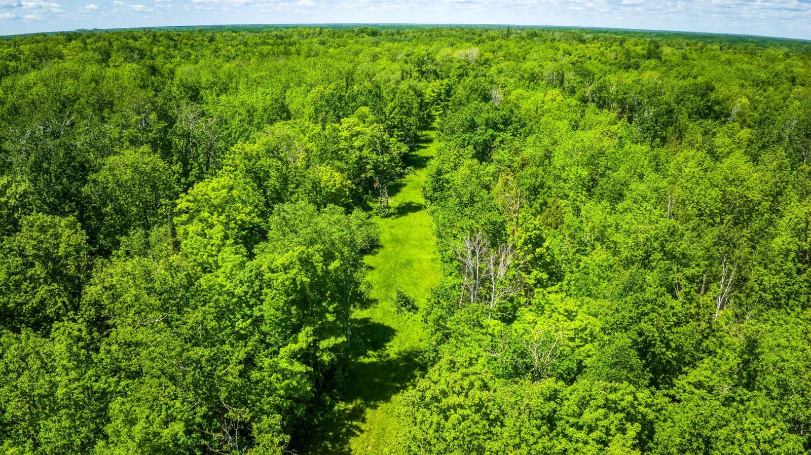 5 Acres.jpg