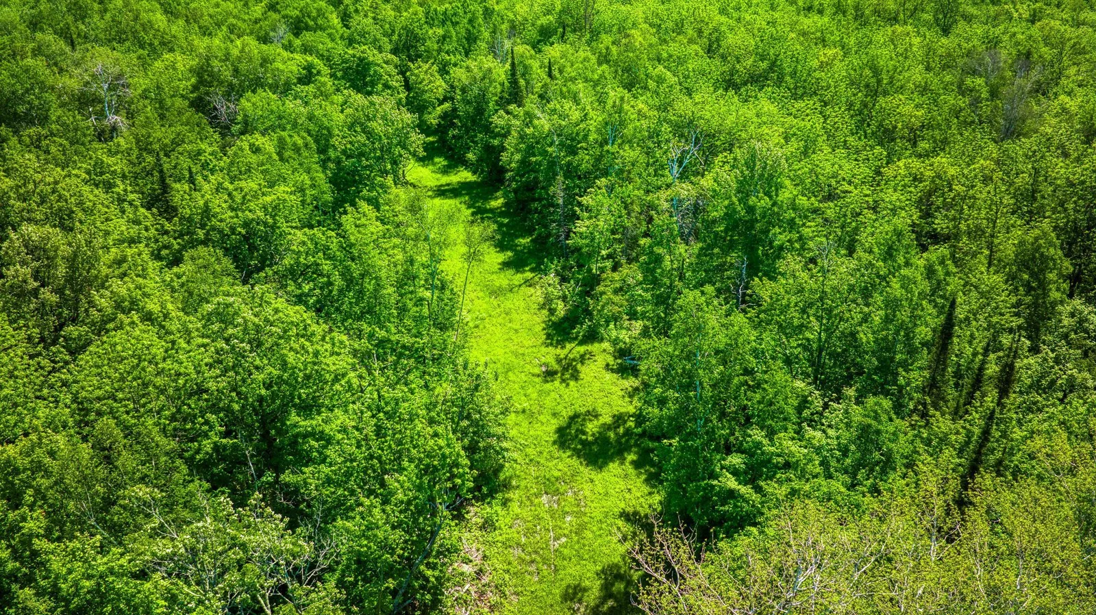 5 Acres.jpg