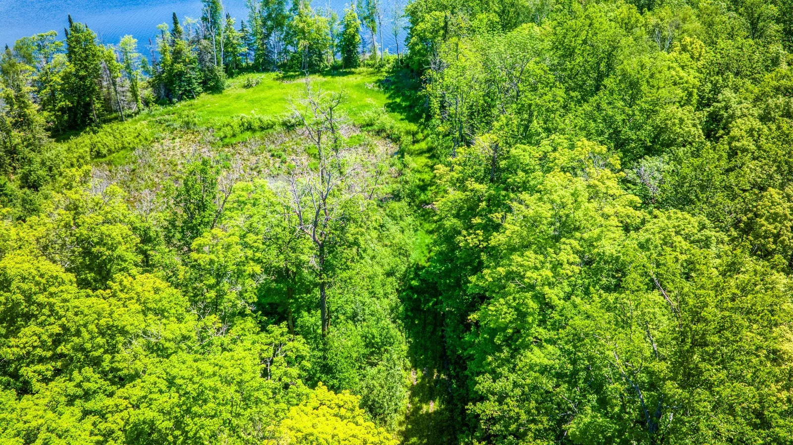 Access to Lake.jpg