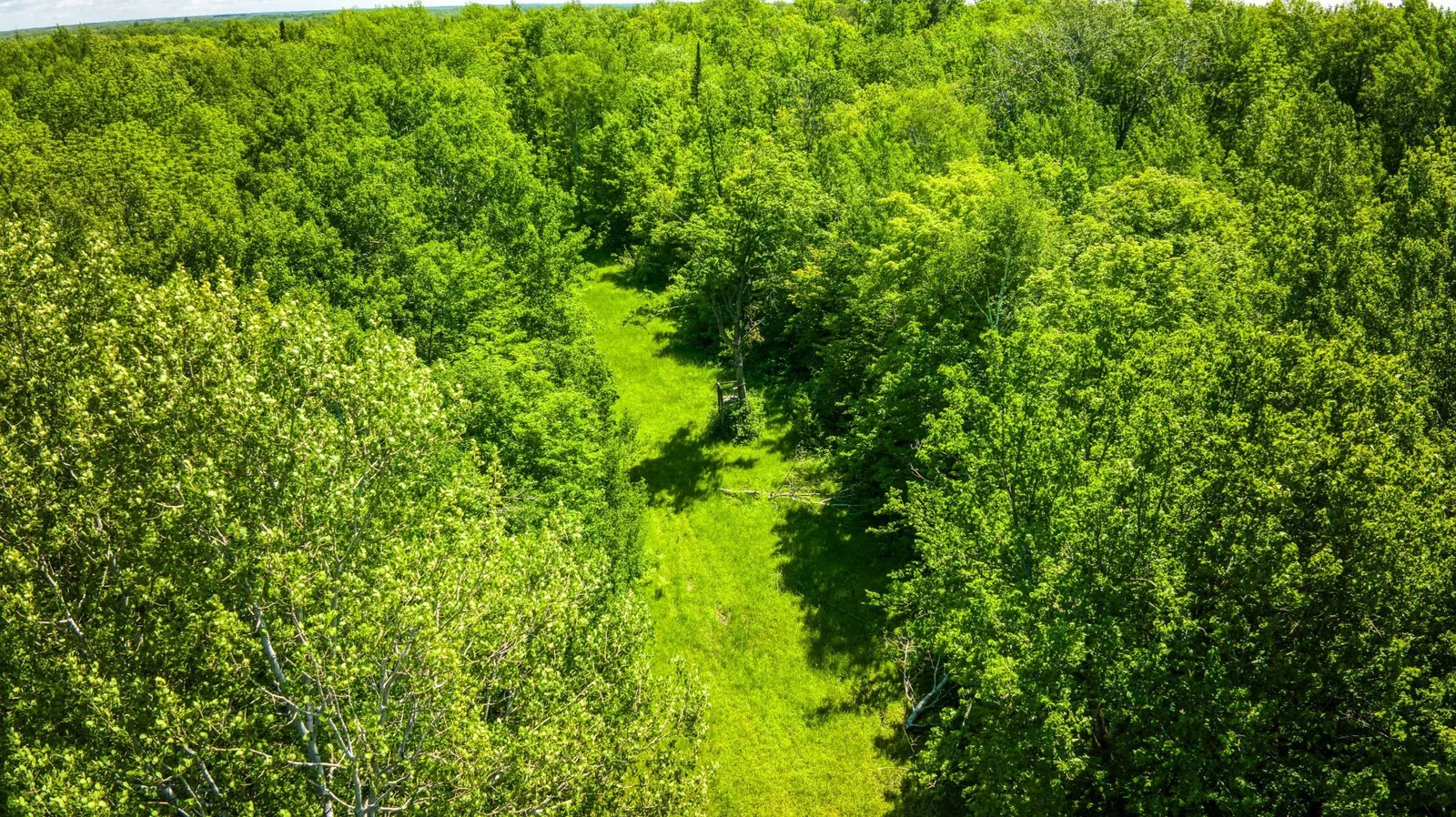 5 Acres.jpg
