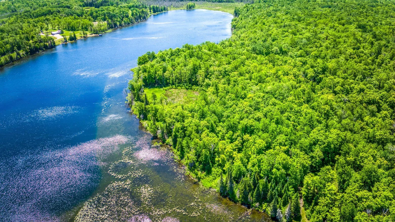 Shoreline.jpg