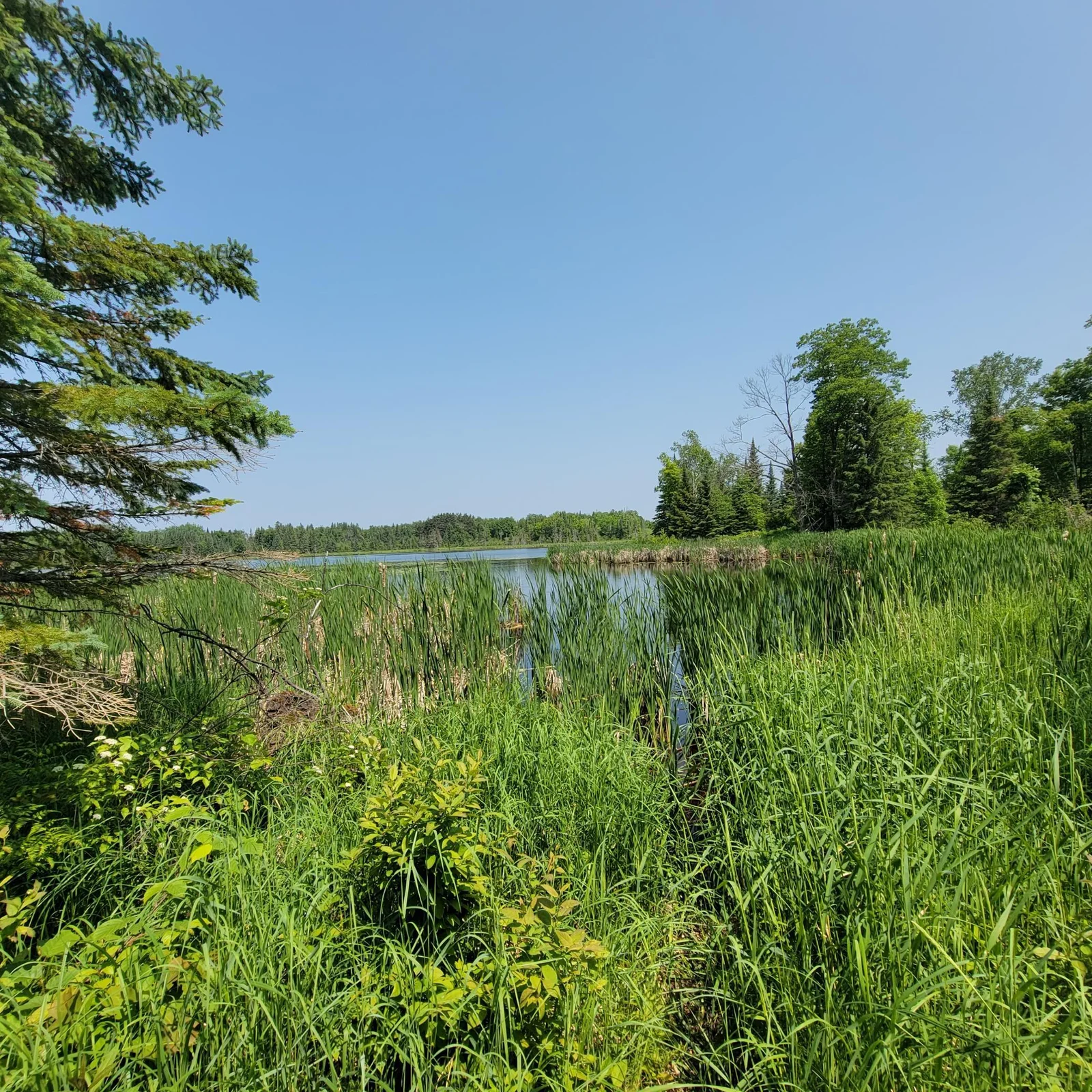 20230616_120228.jpg