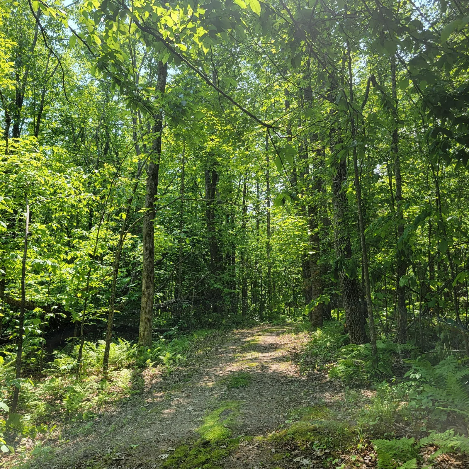 20230616_115818.jpg