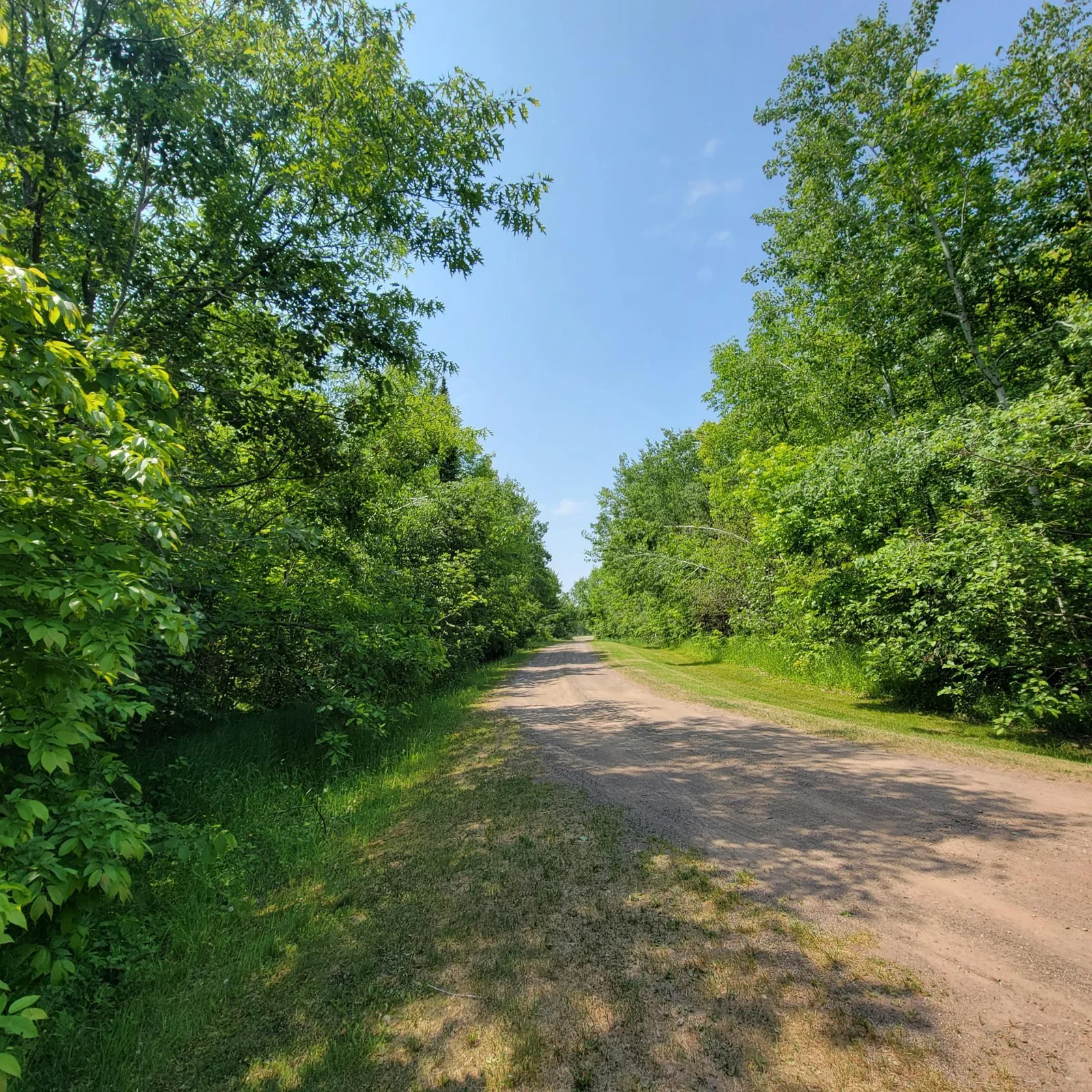 20230616_114258.jpg