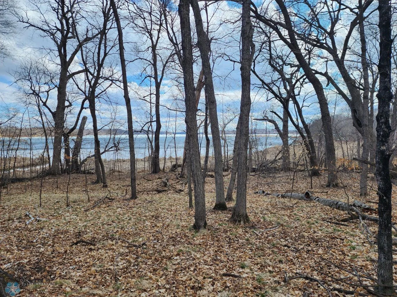 165 ft Shoreline