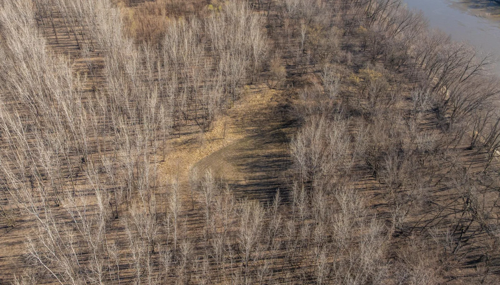 DJI_20250415090734_0530_D.jpg