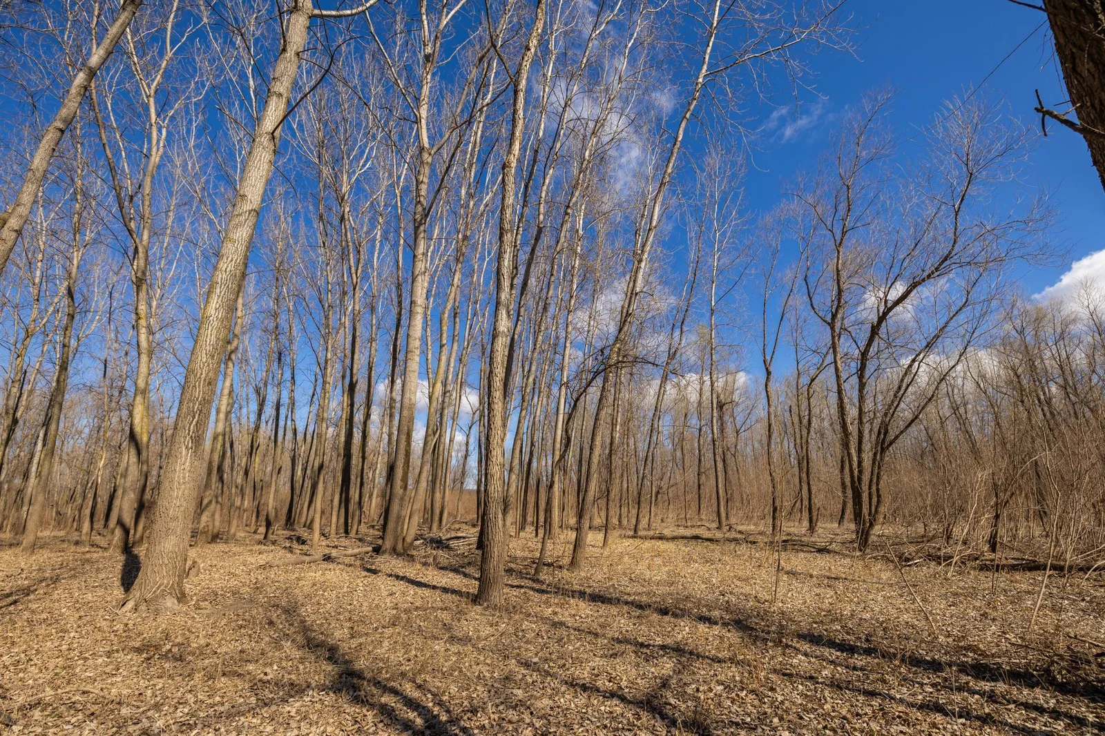 S38A9981.jpg