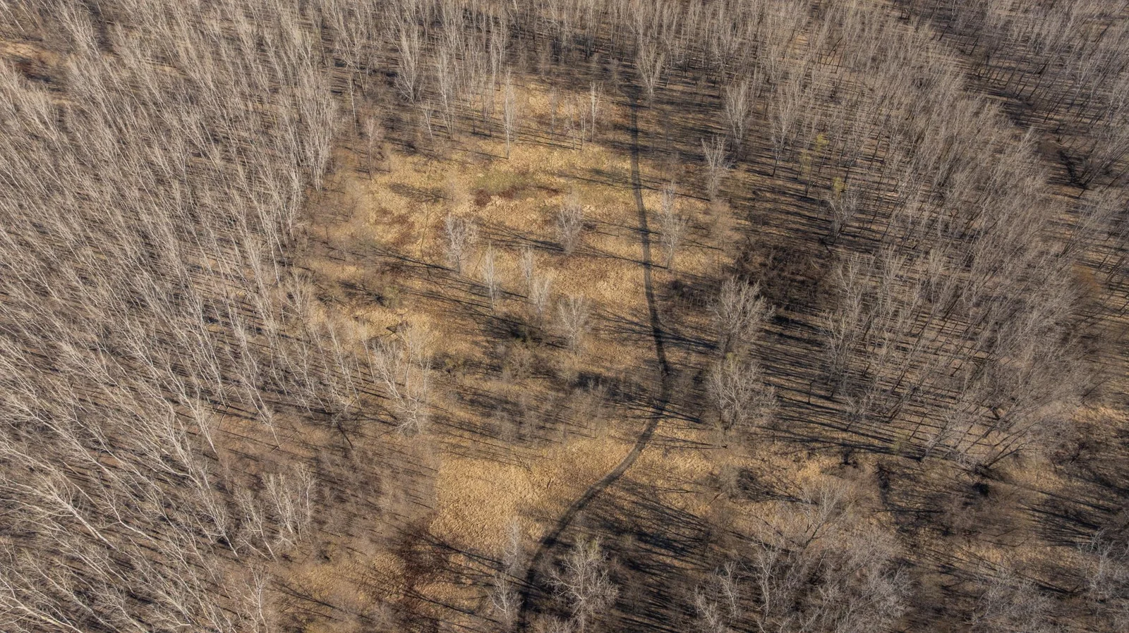 DJI_20250415091111_0543_D.jpg