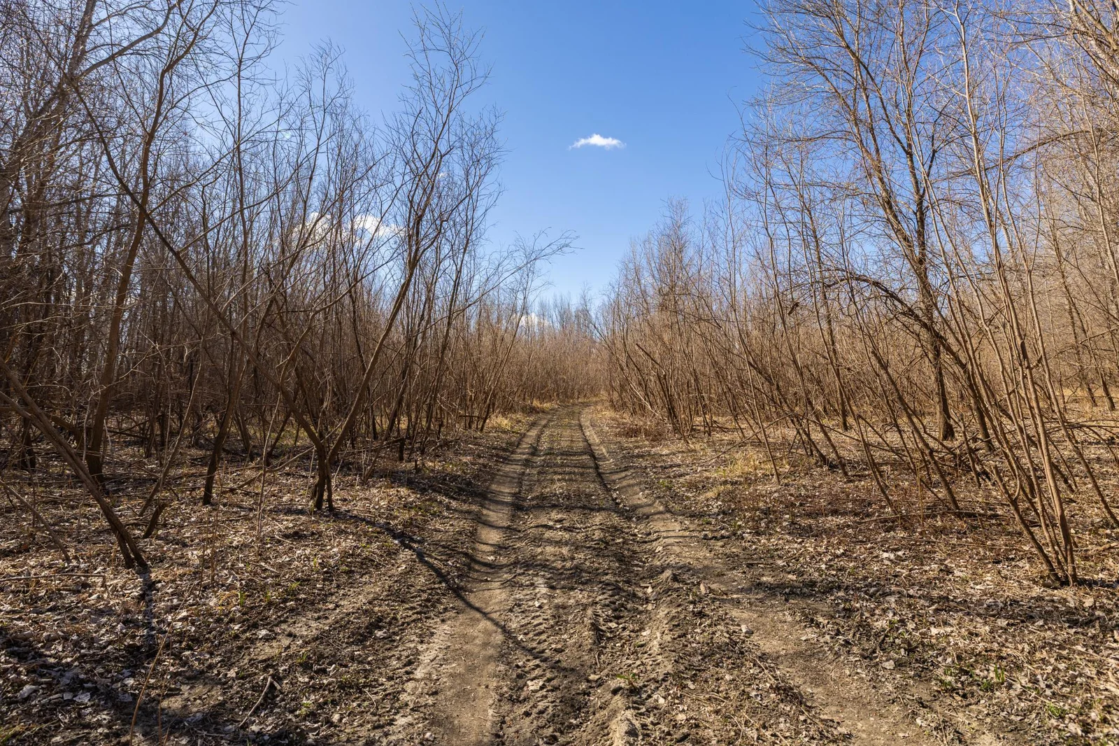 S38A9950.jpg
