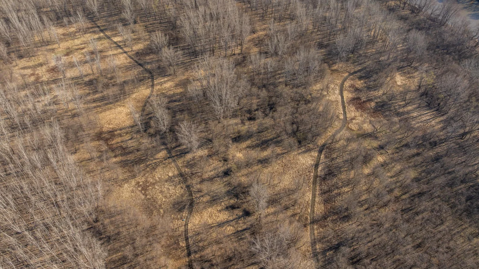 DJI_20250415091133_0545_D.jpg