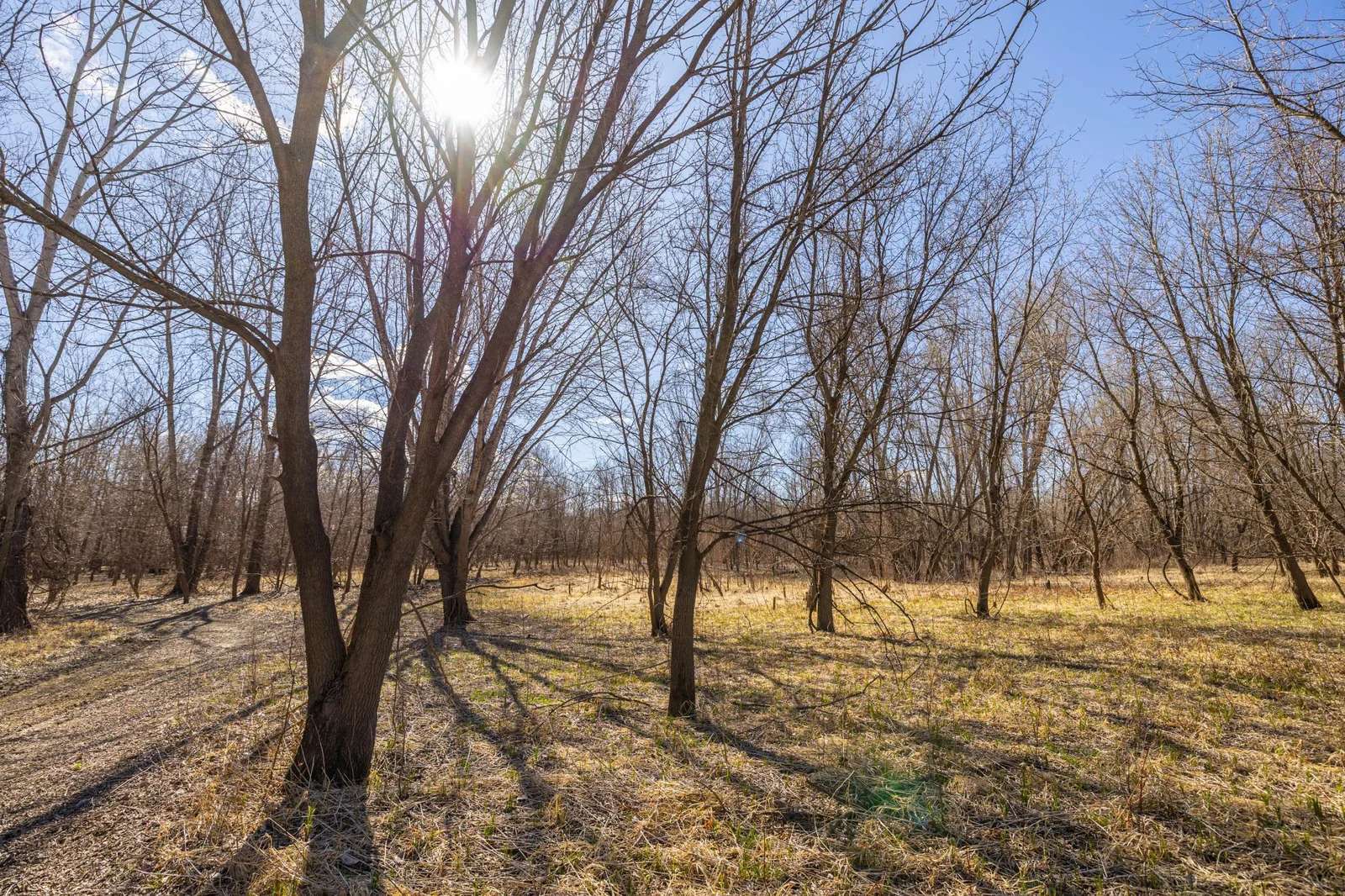 S38A9971.jpg