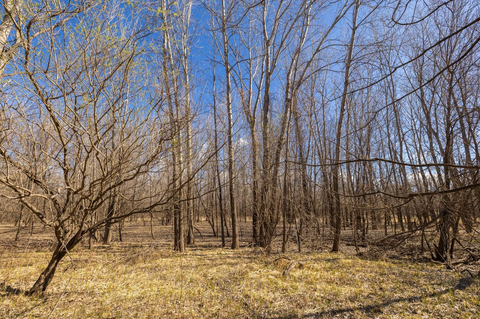 S38A9972.jpg